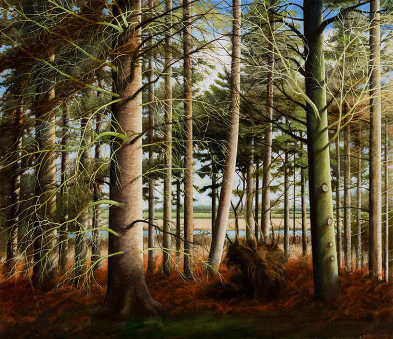 LouisSMcNally Woods 768x662