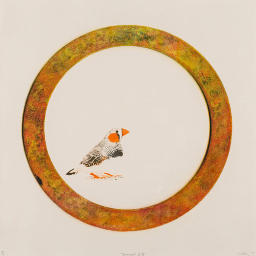MatthewWilson SerengetiPt.II  520x520